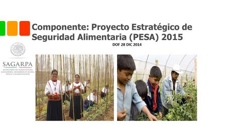 Componente: Proyecto Estratégico de Seguridad Alimentaria (PESA) 2015