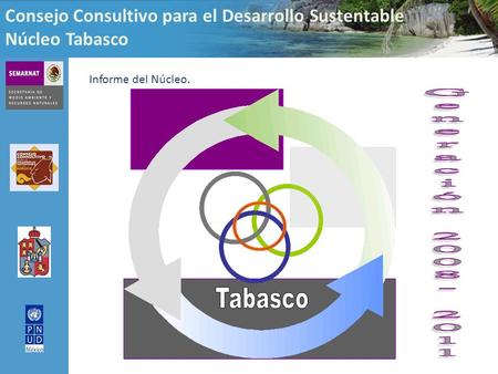 Consejo Consultivo para el Desarrollo Sustentable Núcleo Tabasco Informe del Núcleo.