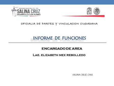 INFORME DE FUNCIONES Lae. elizabeth mex rebolledo SALINA CRUZ, OAX. ENCARGADO DE AREA.
