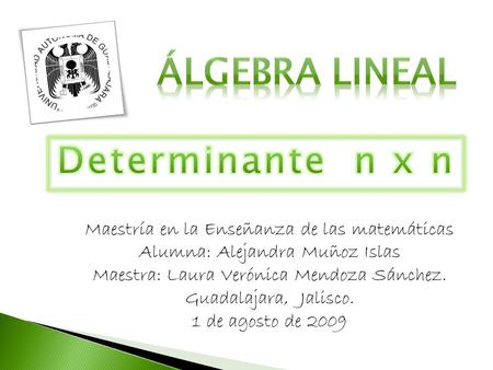 ÁLGEBRA LINEAL Determinante n x n