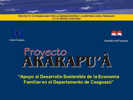 Unión Europea PROYECTO CO-FINANCIADO POR LA UNION EUROPEA Y LA REPUBLICA DEL PARAGUAY C.F. Nº PRY/B7-310/97/0067 República del Paraguay “Apoyo al Desarrollo.