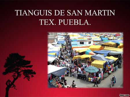 TIANGUIS DE SAN MARTIN TEX. PUEBLA.