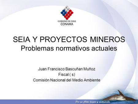 SEIA Y PROYECTOS MINEROS Problemas normativos actuales Juan Francisco Bascuñan Muñoz Fiscal ( s) Comisión Nacional del Medio Ambiente.