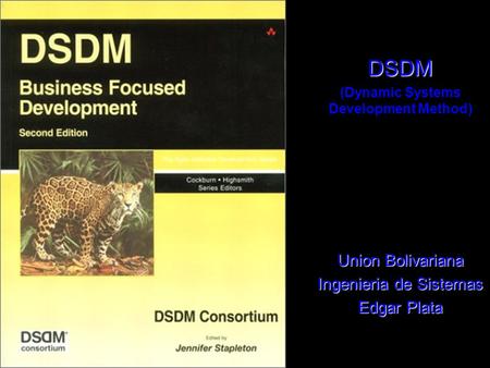 (Dynamic Systems Development Method)
