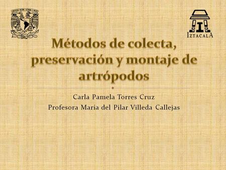 Métodos de colecta, preservación y montaje de artrópodos