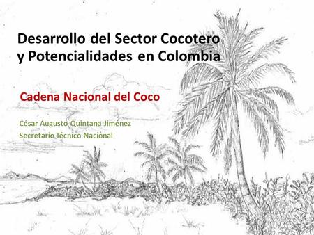 Desarrollo del Sector Cocotero y Potencialidades en Colombia