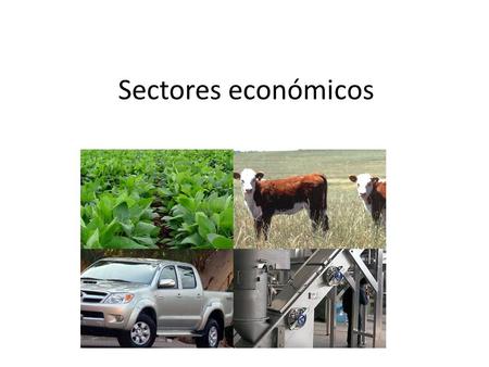Sectores económicos.