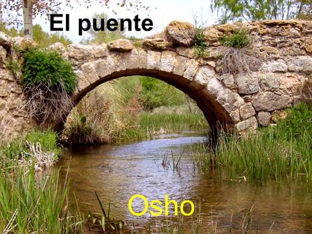 El puente Osho.