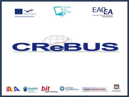 ¿Qué es CReBUS? Creating a business in the digital age - Developing entrepreneurship competencies for young Europeans through eMentorship Crear una empresa.
