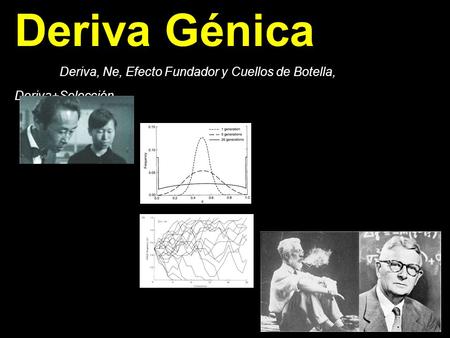 Deriva Génica Deriva, Ne, Efecto Fundador y Cuellos de Botella, Deriva+Selección.