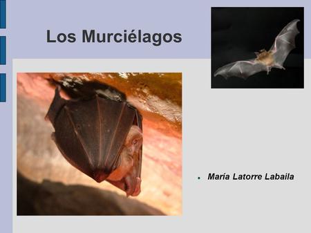 Los Murciélagos María Latorre Labaila.