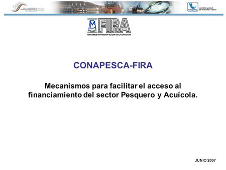 CONAPESCA-FIRA Mecanismos para facilitar el acceso al financiamiento del sector Pesquero y Acuícola. JUNIO 2007.