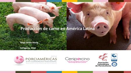 Producción de carne en América Latina