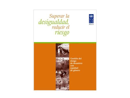 Contexto Reducción de la pobreza (Objetivos del Milenio) Instrumentos internacionales sobre igualdad de género Marco de Acción para la Reducción de Desastres.