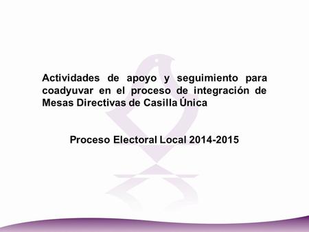 Proceso Electoral Local