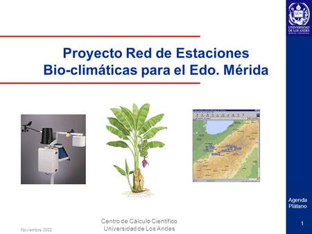 Agenda Plátano Noviembre 2002 1 Proyecto Red de Estaciones Bio-climáticas para el Edo. Mérida Centro de Cálculo Científico Universidad de Los Andes.