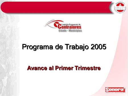 Programa de Trabajo 2005 Avance al Primer Trimestre.