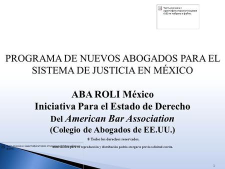 ABA ROLI México Iniciativa Para el Estado de Derecho
