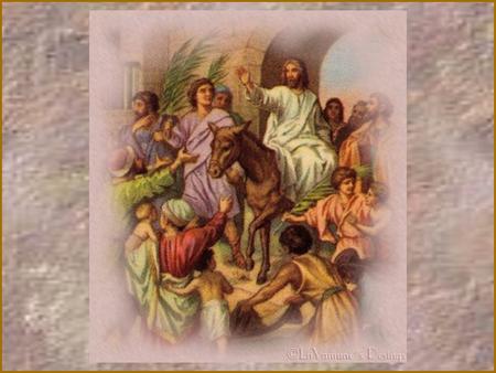 Recibieron a Cristo mientras entraba a la ciudad con palmas y ramos en muestra de que era el Mesías …