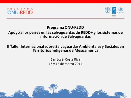 Programa ONU-REDD Apoyo a los países en las salvaguardas de REDD+ y los sistemas de información de Salvaguardas II Taller Internacional sobre Salvaguardas.
