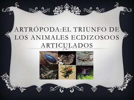 Artrópoda:El triunfo de los animales ecdizosoos articulados