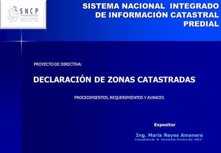Ing. María Reyes Amenero Consultora de la Secretaría Técnica del SNCP
