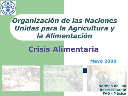 Mayo 2008 Organización de las Naciones Unidas para la Agricultura y la Alimentación Crisis Alimentaria Norman Bellino Representante FAO - México.