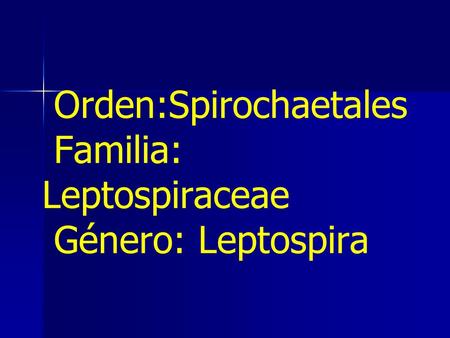Orden:Spirochaetales Familia: Leptospiraceae Género: Leptospira