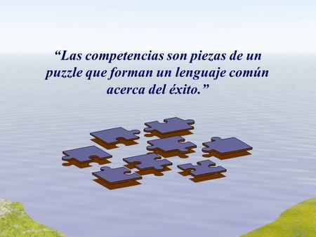“Las competencias son piezas de un puzzle que forman un lenguaje común acerca del éxito.”