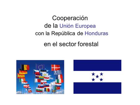 Cooperación de la Unión Europea con la República de Honduras en el sector forestal.