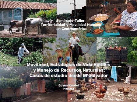 Iniciativa colaborativa de diálogo e investigación sobre dinámicas territoriales en Centroamérica Seminario-Taller: Territorialidad y Movilidad Humana.
