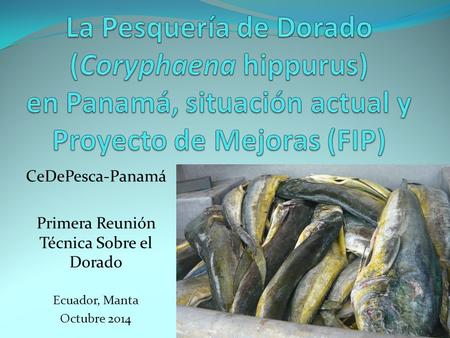 CeDePesca-Panamá Primera Reunión Técnica Sobre el Dorado Ecuador, Manta Octubre 2014.