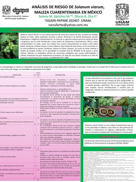 ANÁLISIS DE RIESGO DE Solanum viarum, MALEZA CUARENTENARIA EN MÉXIC O Selene M. Sánchez M.* 1, Gloria A. Zita P. 1 1 DGAPA-PAPIME 202407. UNAM.