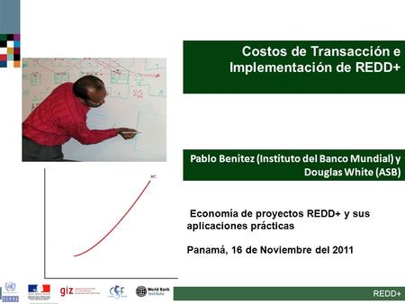 REDD+ Costos de Transacción e Implementación de REDD+ Pablo Benitez (Instituto del Banco Mundial) y Douglas White (ASB) Economía de proyectos REDD+ y sus.