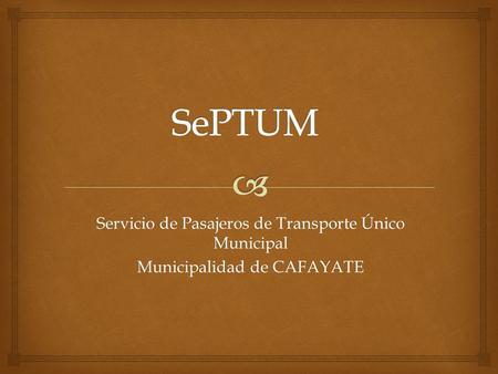 Servicio de Pasajeros de Transporte Único Municipal Municipalidad de CAFAYATE.