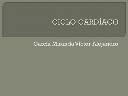 García Miranda Víctor Alejandro