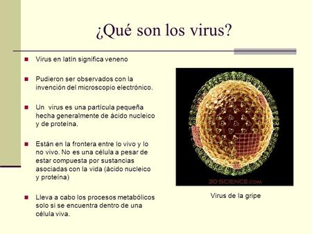 ¿Qué son los virus? Virus en latín significa veneno