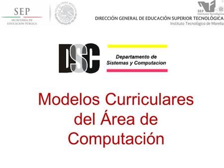 Modelos Curriculares del Área de Computación