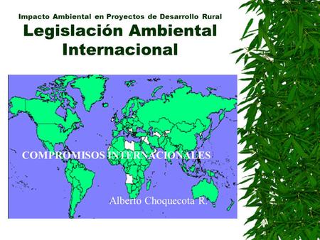 Impacto Ambiental en Proyectos de Desarrollo Rural Legislación Ambiental Internacional COMPROMISOS INTERNACIONALES Alberto Choquecota R.