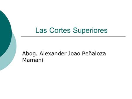 Abog. Alexander Joao Peñaloza Mamani