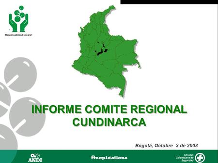 INFORME COMITE REGIONAL CUNDINARCA