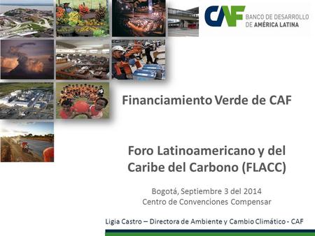 Financiamiento Verde de CAF Foro Latinoamericano y del Caribe del Carbono (FLACC) Bogotá, Septiembre 3 del 2014 Centro de Convenciones Compensar Ligia.