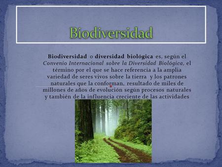 Biodiversidad Biodiversidad o diversidad biológica es, según el Convenio Internacional sobre la Diversidad Biológica, el término por el que se hace referencia.