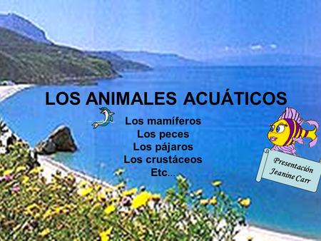 LOS ANIMALES ACUÁTICOS