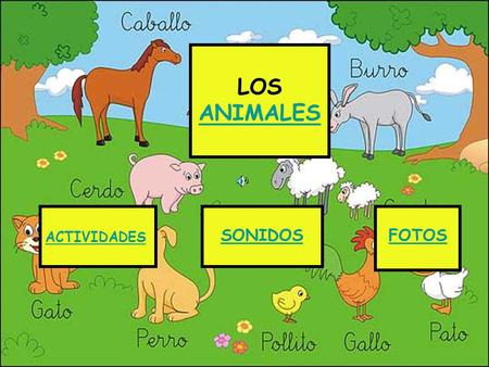 LOS ANIMALES ACTIVIDADES SONIDOS FOTOS.