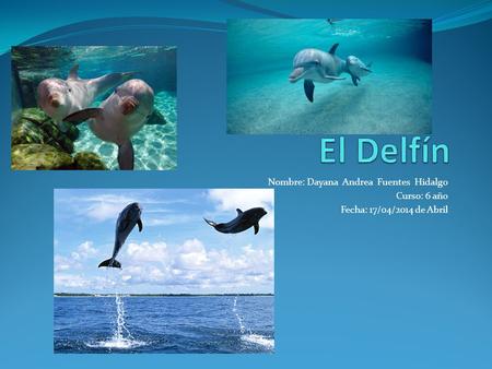 El Delfín Nombre: Dayana Andrea Fuentes Hidalgo Curso: 6 año
