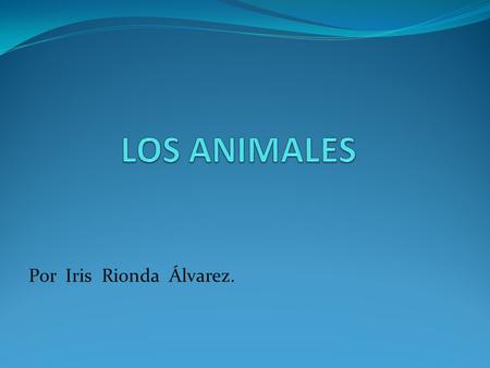 Por Iris Rionda Álvarez.