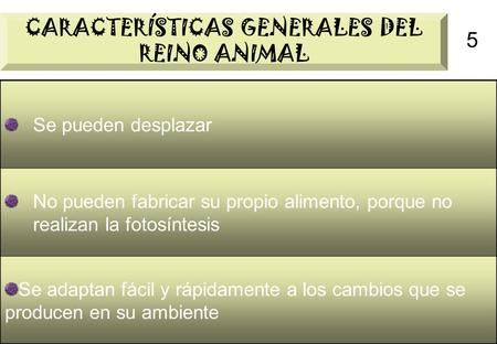 CARACTERÍSTICAS GENERALES DEL REINO ANIMAL