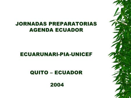JORNADAS PREPARATORIAS AGENDA ECUADOR ECUARUNARI-PIA-UNICEF QUITO – ECUADOR 2004.