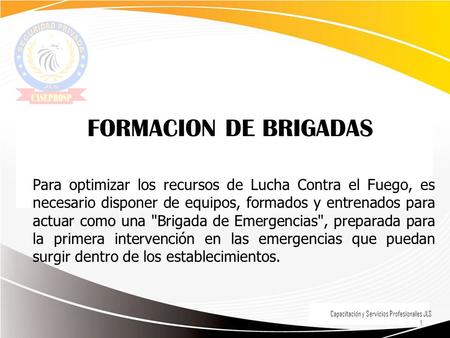 FORMACION DE BRIGADAS Para optimizar los recursos de Lucha Contra el Fuego, es necesario disponer de equipos, formados y entrenados para actuar como una.